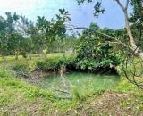 Ông nội cần bán lô đất rẻ tại Định Quán