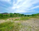 Bán đất 5.600m2 tổ 5 thị trấn Khánh Vĩnh