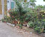 ĐẤT PHÂN LÔ THẠCH BÀN 2 Ô TÔ TRÁNH GẦN MẶT PHỐ MẶT TIỀN HOA HẬU CHỈ HƠN 10 TỶ