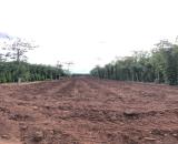 Bán đất 3 sào 9 Kim Long Châu Đức – View suối, giá chỉ 3 tỷ, sổ sẵn phủ hồng