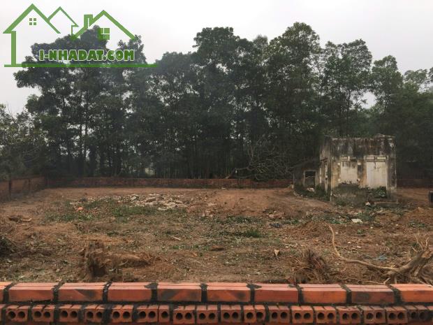 ĐẤT ĐẸP - GIÁ SIÊU HỜI - Chính chủ cần Bán Nhanh 5 Lô Đất Nền tại Tân Lộc, Hồng Kỳ, Sóc - 4