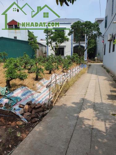 Bán đất Vân Tảo Thường Tín 60m², ô tô vào đất, ngay sát trục chính, giá chỉ 2,x tỷ - 1