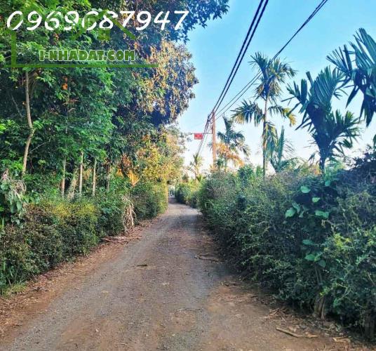 SIÊU HOT - BÁN LÔ CÀ PHÊ 1.3 HA ĐẤT ĐỎ BA ZAN - CÁCH QL 14 CHỈ 400M -  BUÔN MA THUỘT - - 2