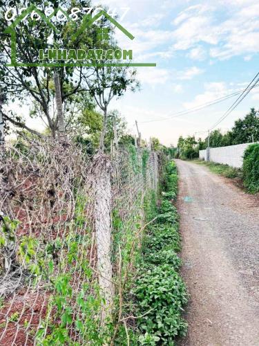 SIÊU HOT - BÁN LÔ CÀ PHÊ 1.3 HA ĐẤT ĐỎ BA ZAN - CÁCH QL 14 CHỈ 400M -  BUÔN MA THUỘT - - 4