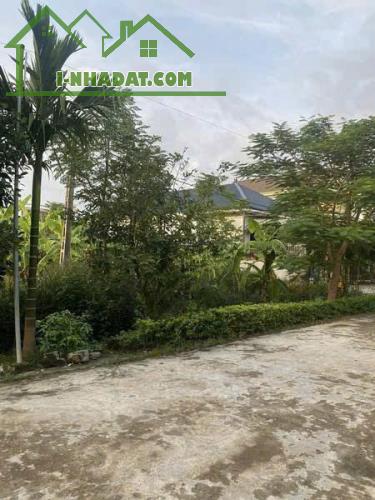 ĐẤT ĐẸP – GIÁ  TỐT - CẦN BÁN NHANH LÔ ĐẤT Mặt Tiền TẠI Xóm 5 Xã Quỳnh Ngọc, Huyện Quỳnh - 1