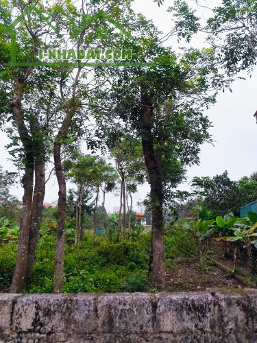 Bán Đất mặt tiền KD trục chính xã Chuyên Mỹ sầm uất,đất 2 mặt đường,giá 21tr - 3