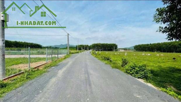 CÁCH TỈNH LỘ 44B 300M - TT PHƯỚC HẢI MỚI . LONG ĐẤT .BRVT - 3