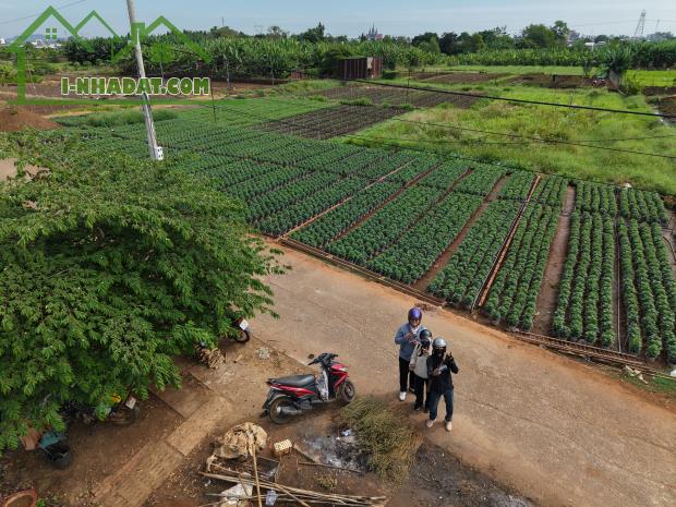 SỞ HỮU NGAY MẢNH ĐẤT NGHỈ DƯỠNG GẦN ĐÀ LẠT – GIÁ CỰC MỀM – CÓ NHÀ ĐANG XÂY - 1