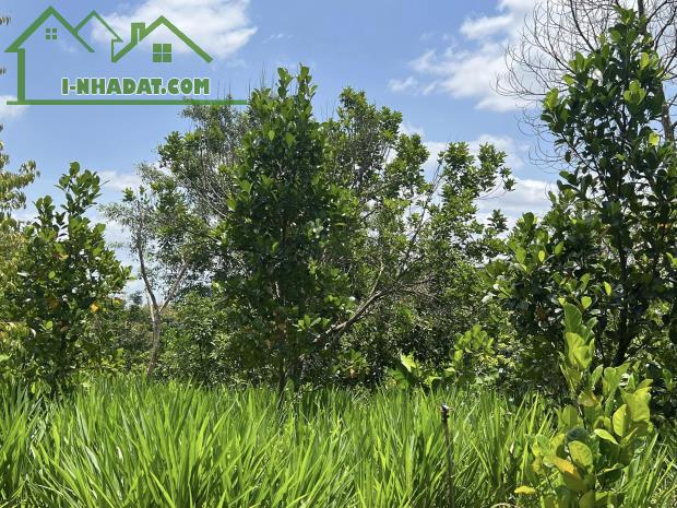 SỞ HỮU NGAY MẢNH ĐẤT NGHỈ DƯỠNG GẦN ĐÀ LẠT – GIÁ CỰC MỀM – CÓ NHÀ ĐANG XÂY - 2