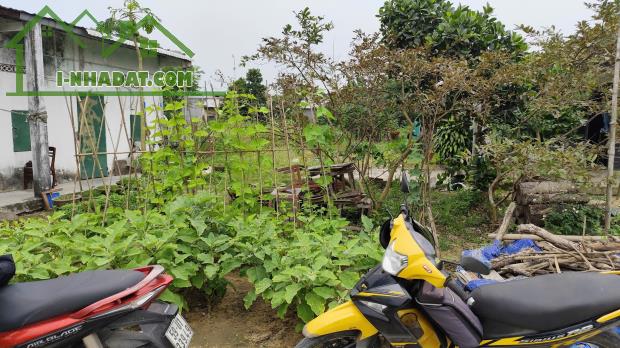BÁN LÔ ĐẤT ĐẸP SAU LƯNG TRƯỜNG CAO ĐẲNG QUẢNG NGÃI