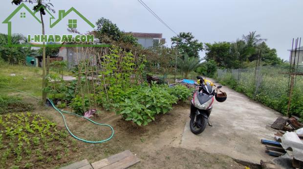 BÁN LÔ ĐẤT ĐẸP SAU LƯNG TRƯỜNG CAO ĐẲNG QUẢNG NGÃI - 2
