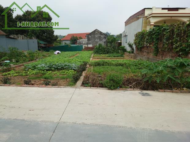 CƠ HỘI VÀNG! BÁN GẤP LÔ ĐẤT 80M² ĐƯỜNG HẬU DƯỠNG, KIM CHUNG