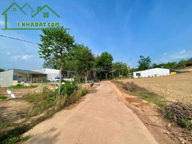 552m2 có 100m2 thổ cư thành phố Đồng xoài chỉ với 300 triệu