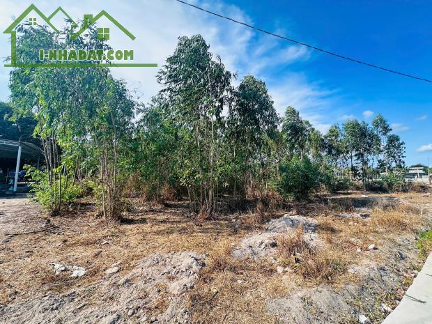 Chỉ 700 triệu sở hữu đất ONT 615m2 Tân Xuân - Hàm Tân bê tông 8m, sổ riêng - 2