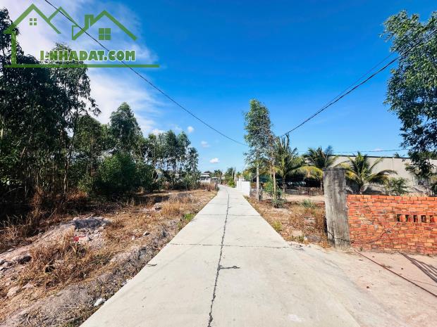 Chỉ 700 triệu sở hữu đất ONT 615m2 Tân Xuân - Hàm Tân bê tông 8m, sổ riêng - 3