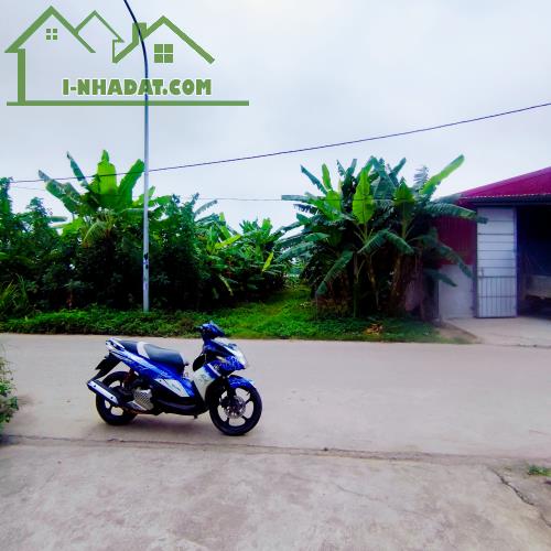 200m đất mặt đường liên xã Tri Trung-Hoàng Long KD đỉnh,cách Cienco5 700m - 3