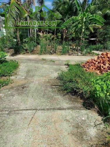 Bán đất nền Phú Hưng Thành phố Bến Tre 141m 255tr - 1