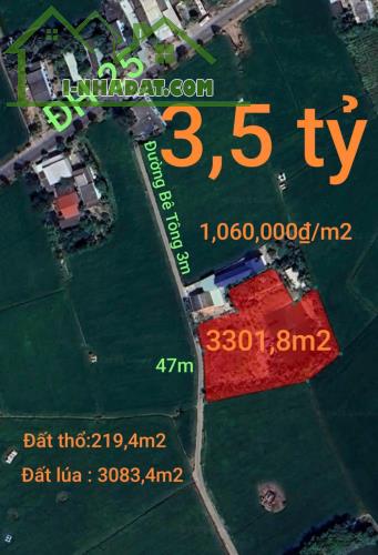 🎯Bán lô đất thổ lúa mặt tiền đường đan 3m giá 3,5 tỷ