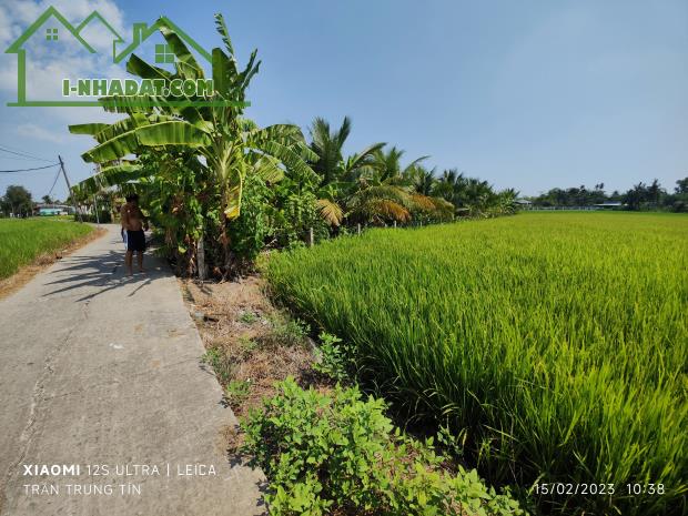 🎯Bán lô đất thổ lúa mặt tiền đường đan 3m giá 3,5 tỷ - 1