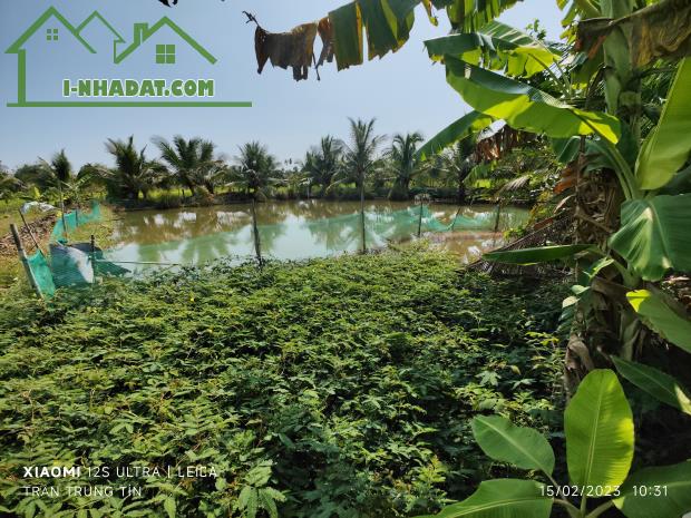 🎯Bán lô đất thổ lúa mặt tiền đường đan 3m giá 3,5 tỷ - 4