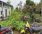 BÁN LÔ ĐẤT ĐẸP SAU LƯNG TRƯỜNG CAO ĐẲNG QUẢNG NGÃI