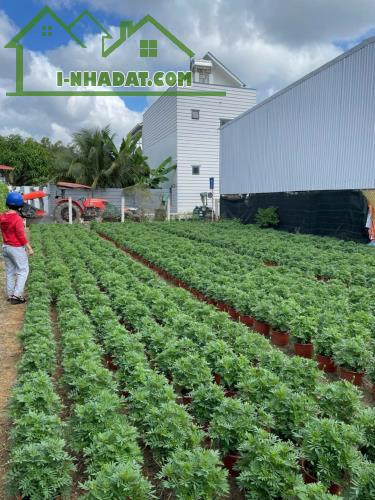 Bán đất 2 mặt tiền siêu đẹp tại xã Diên Sơn, Diên Khánh. 190m2 ngang 10m