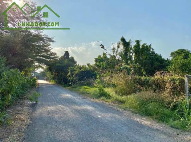 CHÍNH CHỦ! 120M² FULL THỔ – MT 5M Đ.LÊ THỊ SIÊNG – TÂN THÔNG HỘI–500 TRIỆU!!! - 3