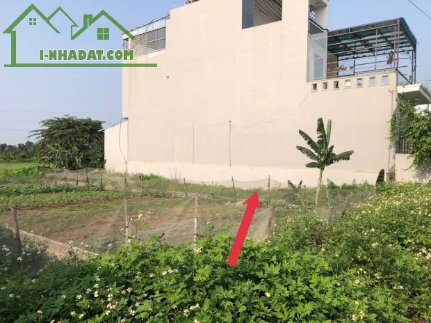 Bán đất Minh Tân - Kiến Thụy - Hải Phòng - 2