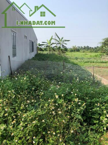 Bán đất Minh Tân - Kiến Thụy - Hải Phòng - 4
