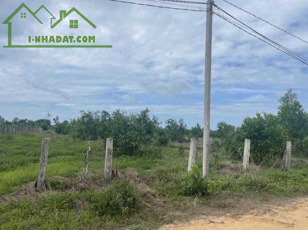 Bán gấp 4.2 sào đất thổ cư Tân Bình, thị xã LaGi giá rẻ 170tr/m ngang gần Biển - 1
