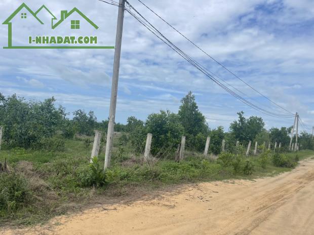 Bán gấp 4.2 sào đất thổ cư Tân Bình, thị xã LaGi giá rẻ 170tr/m ngang gần Biển - 4