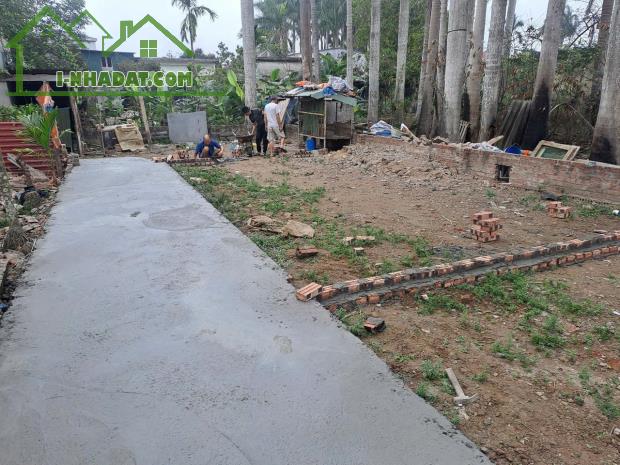 Bán đất tại ngõ 66 Kiều Hạ, Hải An, Hải Phòng, 42m2, 1.390 tỷ VND. - 1