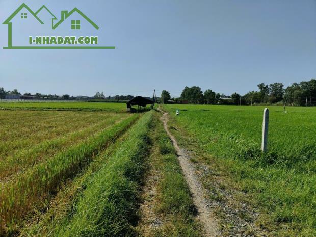 Bán gấp lô đất ngay Lục Viên chạy vào thuộc ấp Rừng Sến , Mỹ Hạnh Bắc