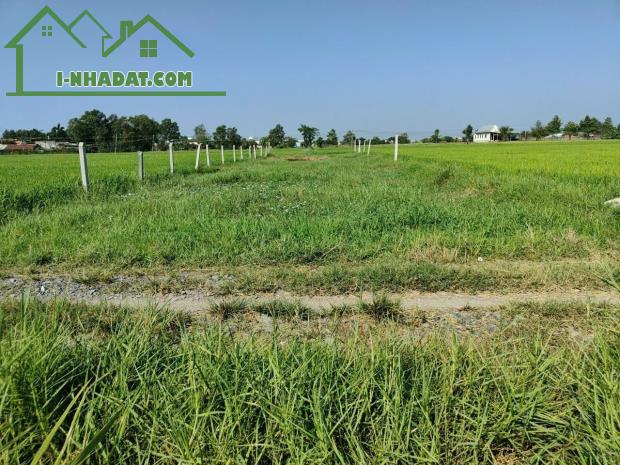 Bán gấp lô đất ngay Lục Viên chạy vào thuộc ấp Rừng Sến , Mỹ Hạnh Bắc - 2