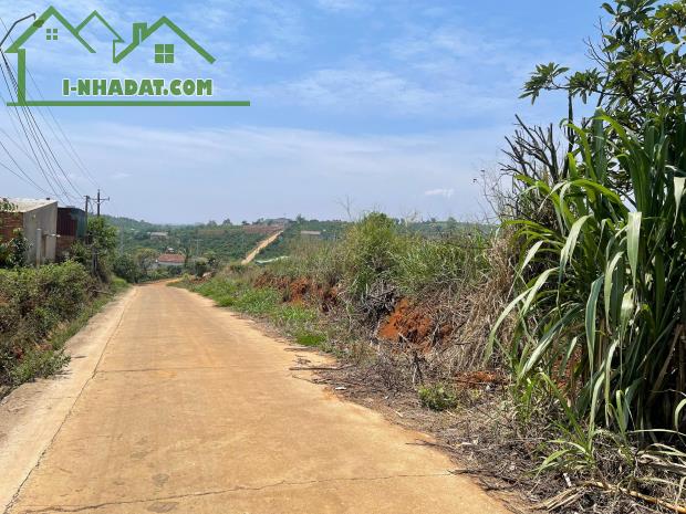 BÁN ĐẤT GIÁ RẺ CÁCH ĐÀ LẠT 58KM - 1