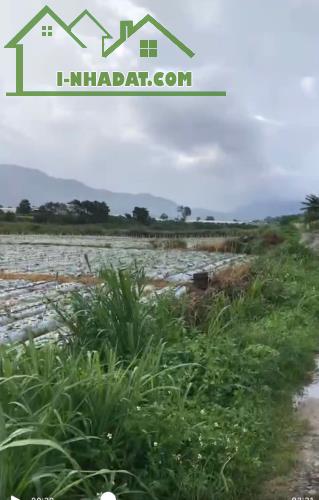 Đất xào giá rẻ Lạc Xuân – Đơn Dương