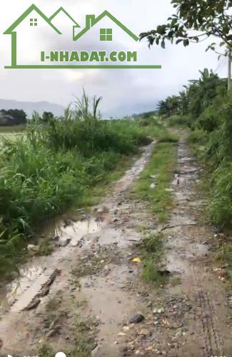 Đất xào giá rẻ Lạc Xuân – Đơn Dương - 2