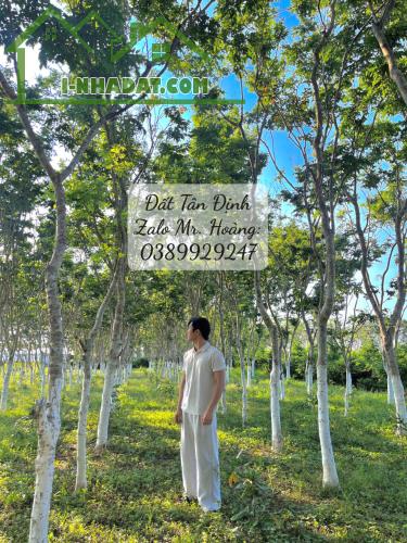 Tài Chính 1T nên đầu tư vào đâu? - 4
