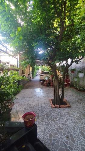 Bán gấp nhà MTKD Lương Văn Can 562m2, ngang 5m, nó hậu 11m, SHR, chỉ 97 triệu/m2. - 1