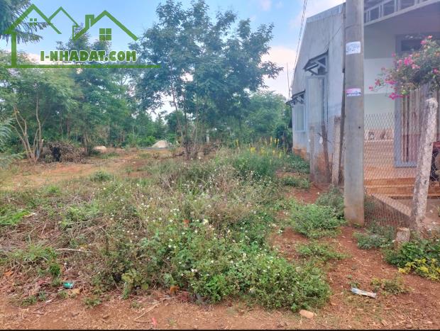 Bán lô đất giá tốt 217m² hướng Nam tại buôn Kmat – xã Hoà Đông, TP. Buôn Ma Thuột