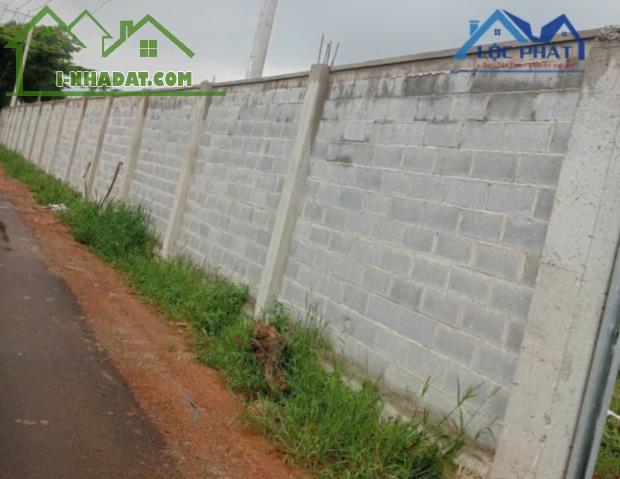 Bán đất mặt tiền đường nhựa hơn 1ha xã Bàu Hàm Huyện Trảng Bom giá chỉ 13,5tỷ - 2
