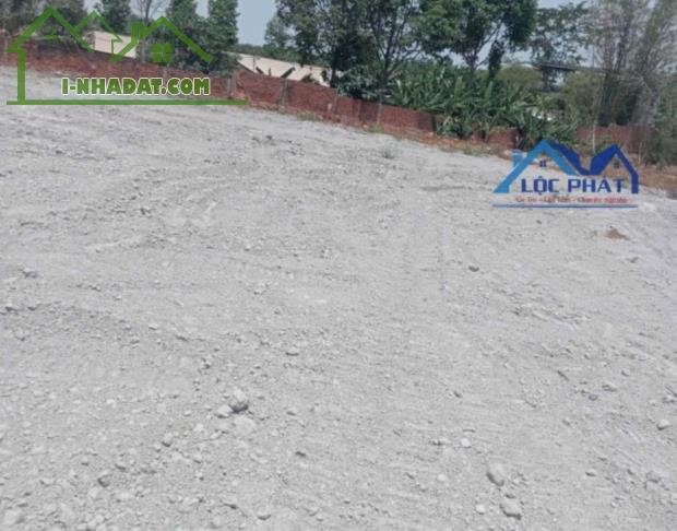 Bán đất mặt tiền đường nhựa hơn 1ha xã Bàu Hàm Huyện Trảng Bom giá chỉ 13,5tỷ - 3