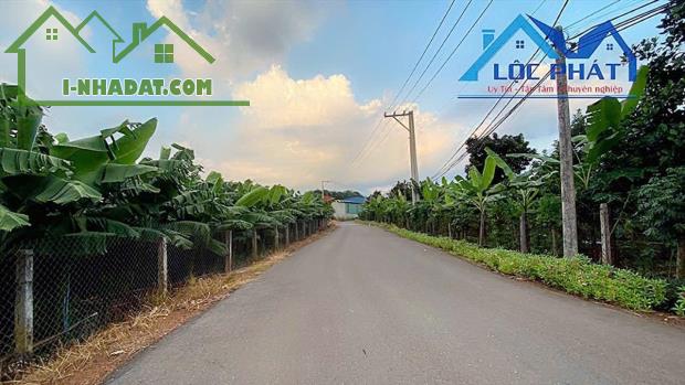 Bán đất mặt tiền đường nhựa hơn 1ha xã Bàu Hàm Huyện Trảng Bom giá chỉ 13,5tỷ - 5