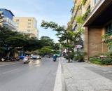 Bán nhà gần Mặt phố Liễu Giai - Đào Tấn - Linh Lang 136m² - Giá 48 tỷ