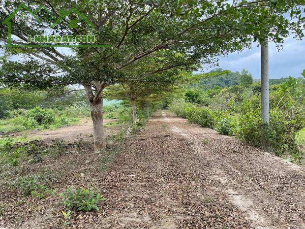 Chỉ còn có duy nhất 1 lô giá siêu rẻ đầu tư tiềm năng - Diên Hoà - Diên Khánh - 97m2 full - 1