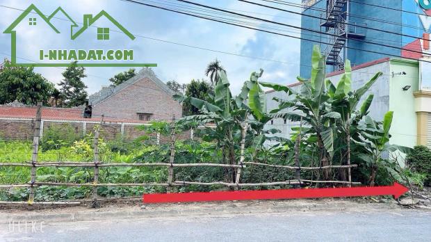 Bán đất Chung cư Tắc Giang - Kiến Thụy - Hải Phòng - 1