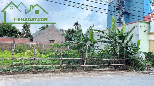Bán đất Chung cư Tắc Giang - Kiến Thụy - Hải Phòng - 3