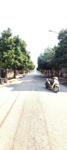 Bán đất mặt đường Đỗ Nhuận, Hóc Thân, Đồng Tâm, Vĩnh Yên, Vĩnh Phúc - 1