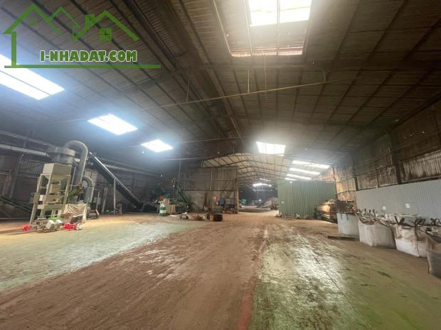 Cho thuê nhà xưởng 5000m2 làm viên nén gỗ, Trảng Bom, Đồng Nai, giá thuê 260tr/tháng.