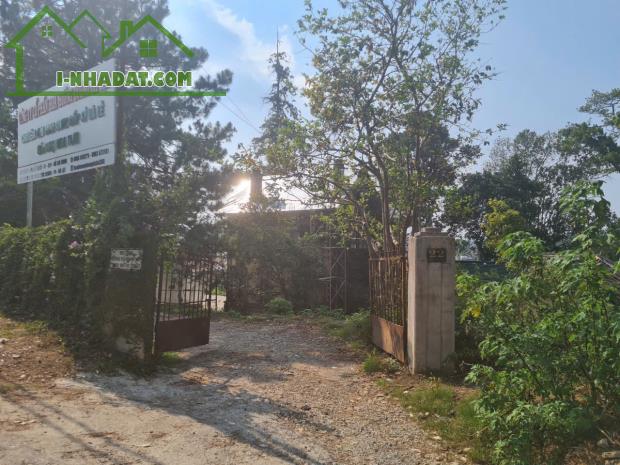 SIÊU PHẨM BIỆT THỰ PHÁP CỔ  VỊ TRÍ TRUNG TÂM  SINH LỜI ĐỈNH CAO - 3